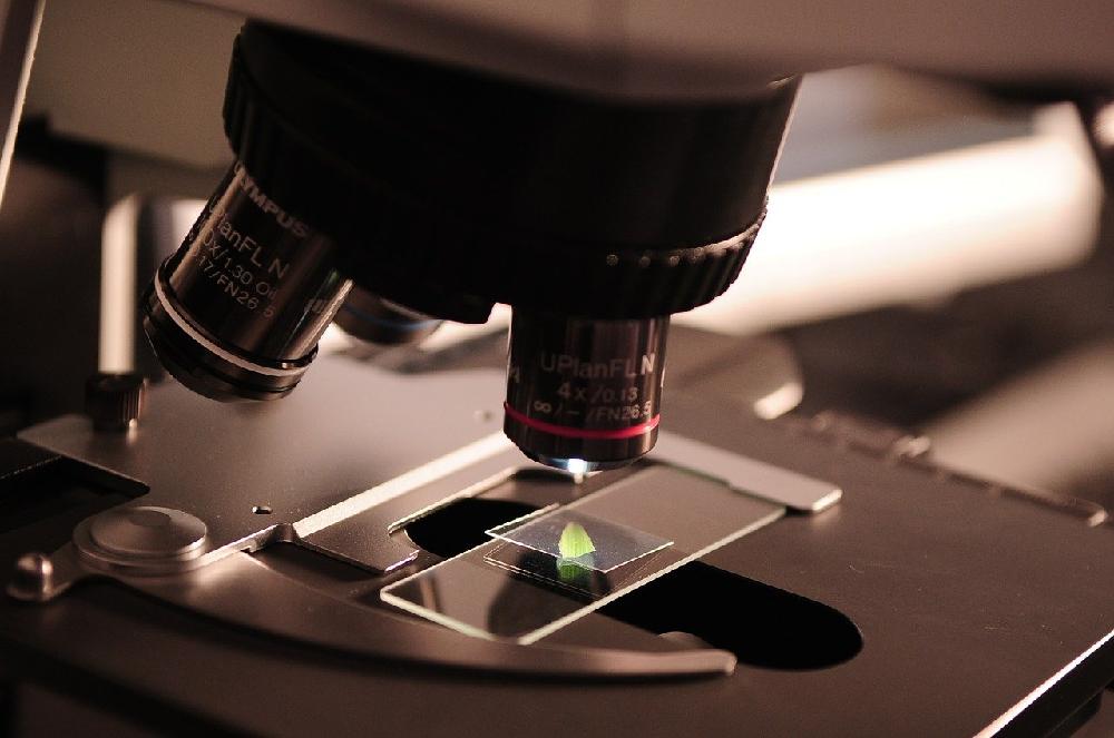 Mikroskopy szkolne, jako obowiązkowe wyposażanie pracowni biologicznej